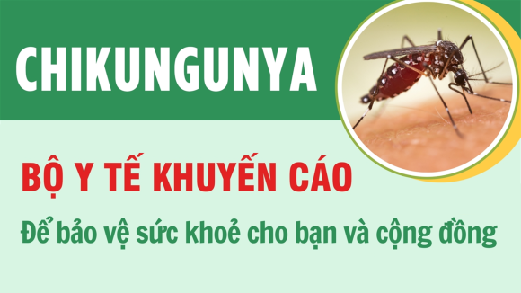 Khuyến cáo phòng dịch Chikungunya từ Bộ Y tế